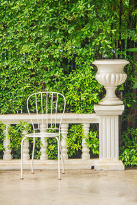 View of potted plants in garden