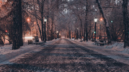 Street amidst trees during winter at night