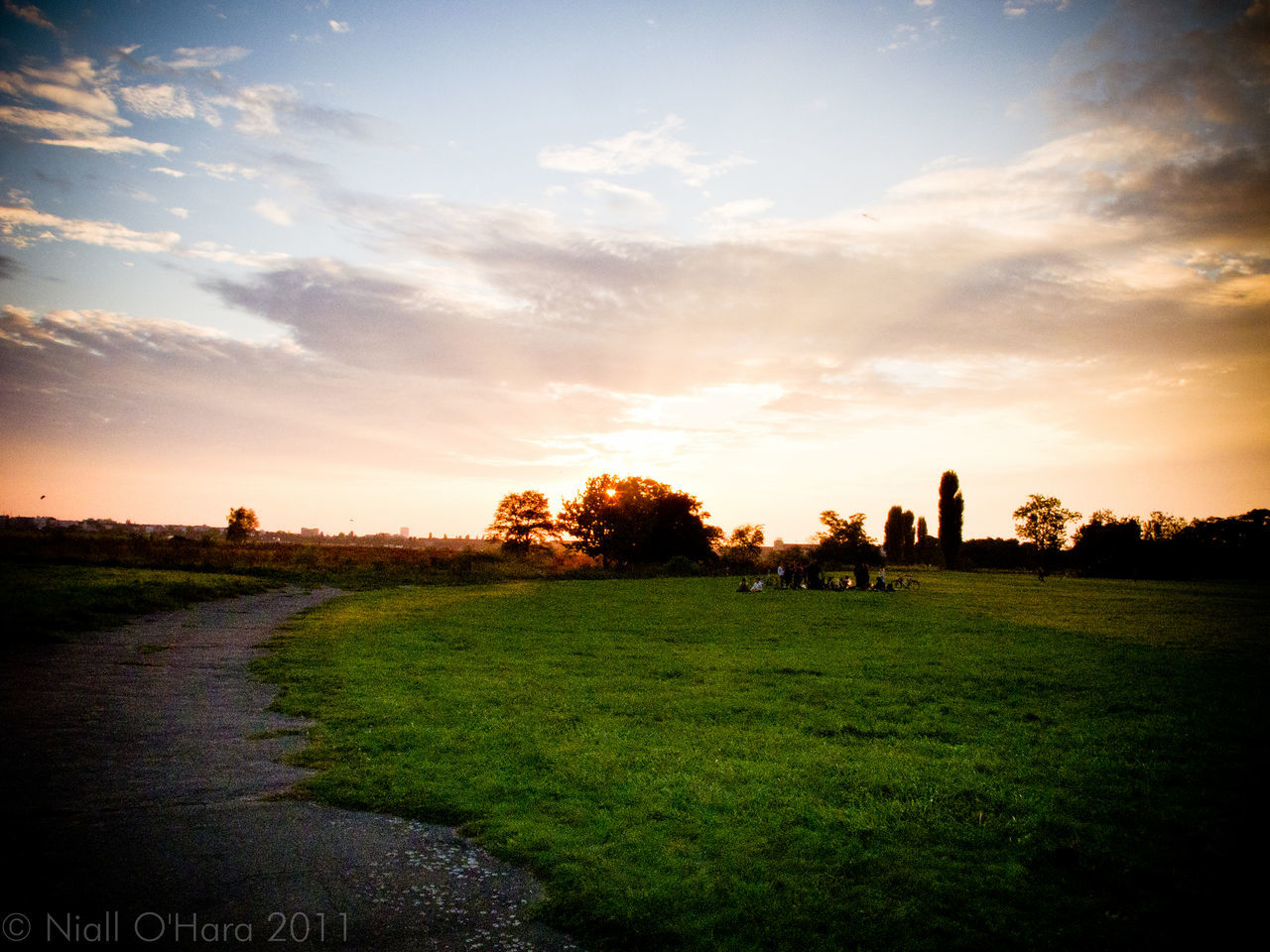 SCENIC VIEW OF GRASSY FIELD AT SUNSET