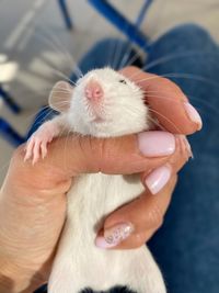 Close-up of hand holding hands