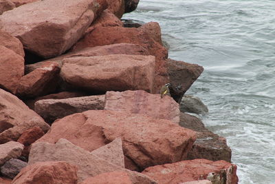 Close-up of rocks in sea