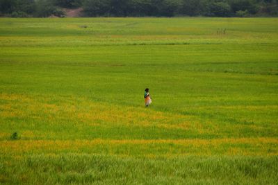 Man on grassy field