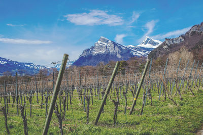 Scenic view of snowcapped mountains against sky