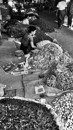 High angle view of people working on plants