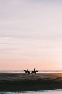 Silhouette people riding horse on beach against sky