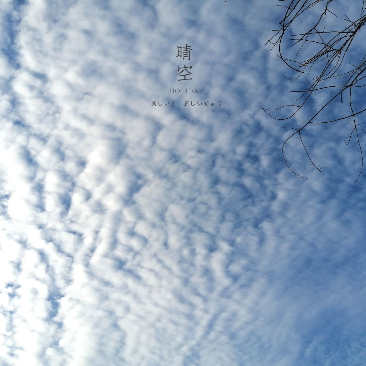 cloud - sky, no people, sky, nature, blue, day, outdoors, beauty in nature, winter, selective focus, white color, low angle view, tranquility, snow, scenics - nature, flying, text, tranquil scene, sunlight
