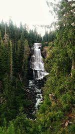 Waterfall in forest