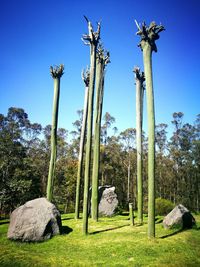 Trees growing on field against clear sky