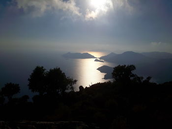 Silhouette trees by sea against sky during sunset
