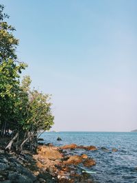 Scenic view of sea against clear sky