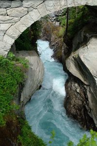 River flowing through trees