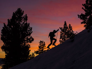 Silhouette trees on snow covered landscape against sky during sunset