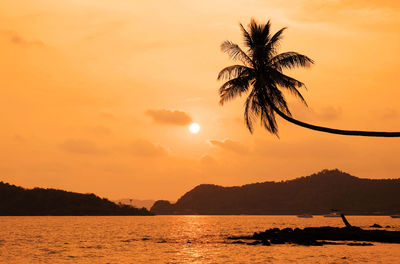 Silhouette palm trees by sea against sky during sunset