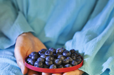 Hand holding blueberries or bilberries in red plate , bark blue berries fruit , healthy eating