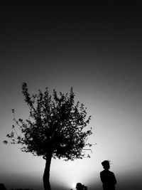 Low angle view of silhouette tree against clear sky