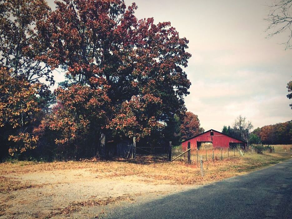 TREES BY HOUSE AGAINST SKY