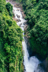 High angle view of waterfall in forest