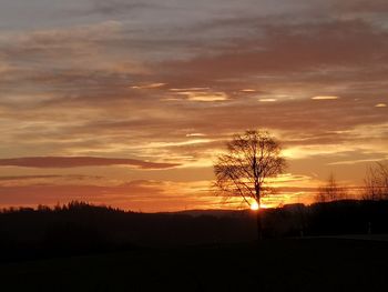 Silhouette trees on field against sky during sunset