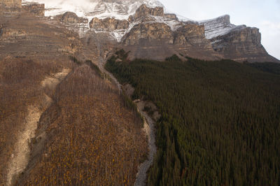 Aerial view of a large mountain full of trees where the burned trees are separated by a strip.