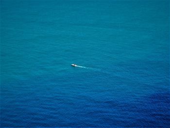 High angle view of sailboat in sea