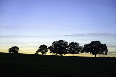 Silhouette trees on field against sky