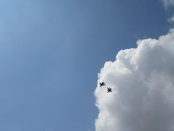 Low angle view of airplane flying in sky