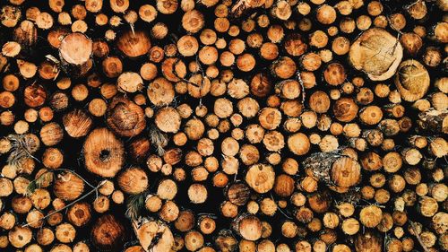 Full frame shot of logs in forest