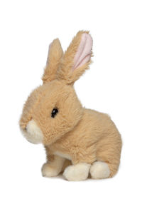 Close-up of a stuffed toy over white background