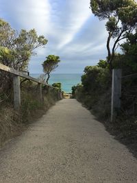 Walkway amidst trees against sky