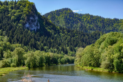 Scenic view of lake by trees against sky