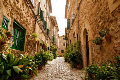 Narrow alley amidst buildings in city