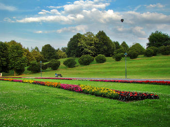 Scenic view of grassy field against sky