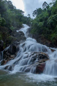 Scenic view of waterfall in forest