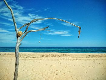 Scenic view of beach against blue sky