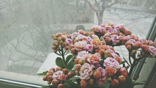 Close-up of flowers in vase