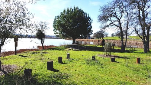 View of cemetery on field against sky