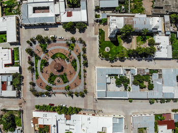 High angle view of tree by building in city