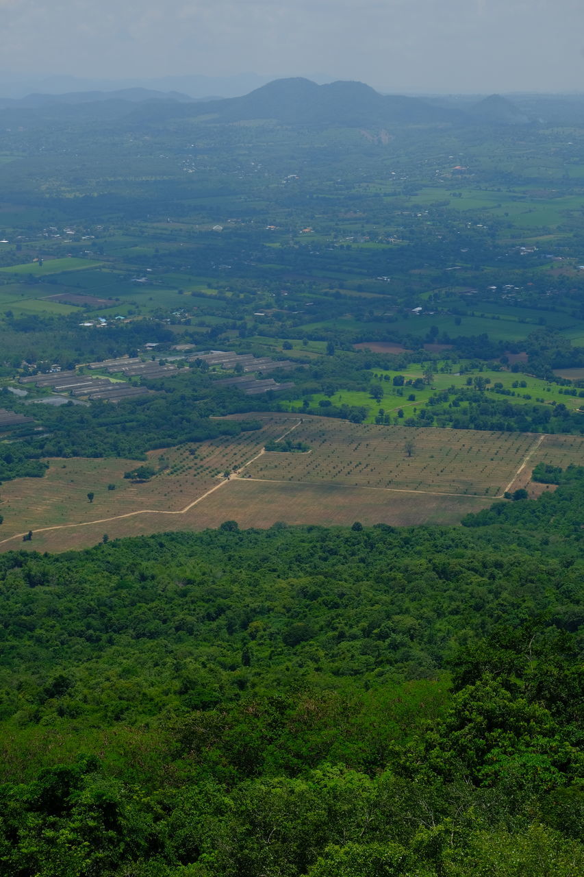 SCENIC VIEW OF LANDSCAPE