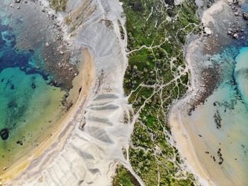 High angle view of greenery on beach