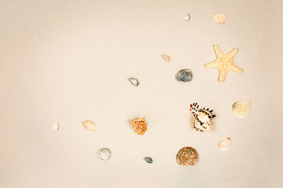 High angle view of christmas decorations on wall