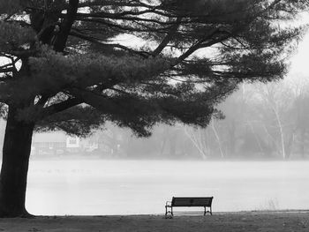 Bench in park by lake during winter