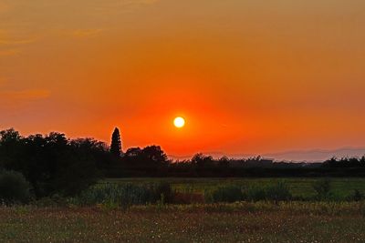 Scenic view of field against orange sky