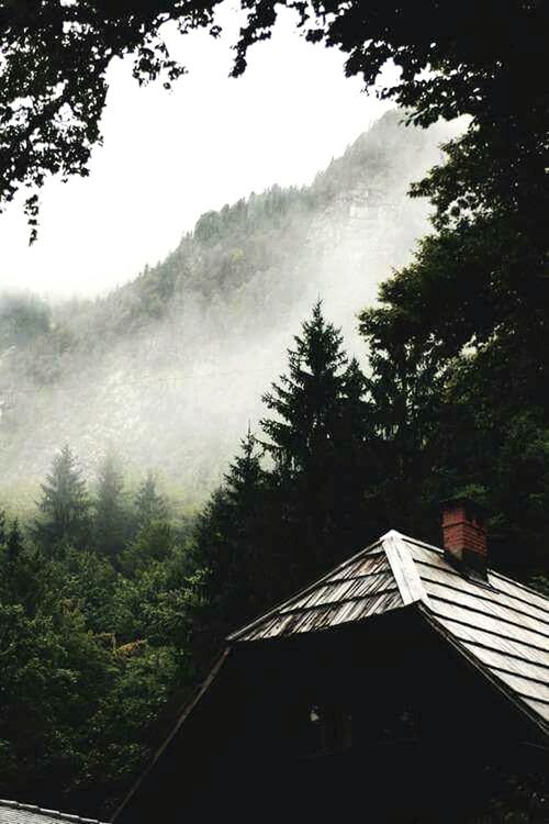 tree, building exterior, built structure, architecture, house, clear sky, growth, nature, roof, sky, day, outdoors, foggy, tranquility, residential structure, no people, landscape, high angle view, residential building