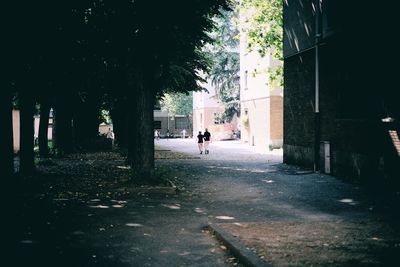 Rear view of man walking on tree