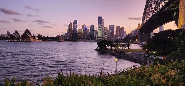 Sydney harbour dusk