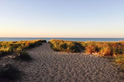 Scenic view of beach against clear sky