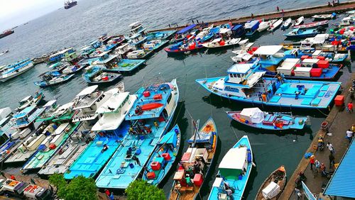 High angle view of dhoni boats moored at harbor