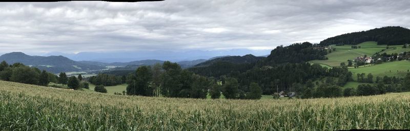 Scenic view of agricultural field against sky