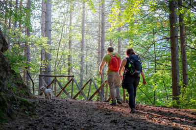 Family with two young children hiking in the woods on the mountain path.