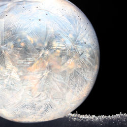 Close-up of object on wall